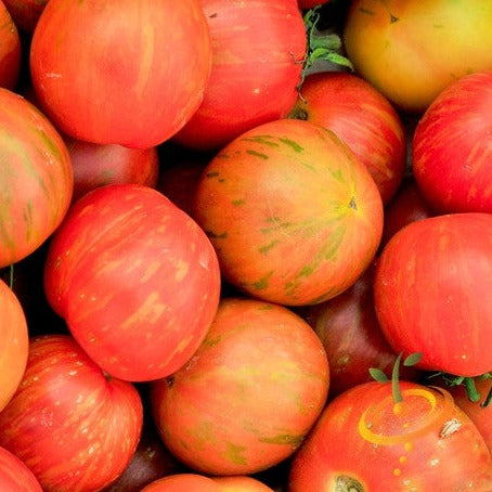 Pack of high quality heirloom organic Tomato Tigerella seeds for unique, decorative tomatoes