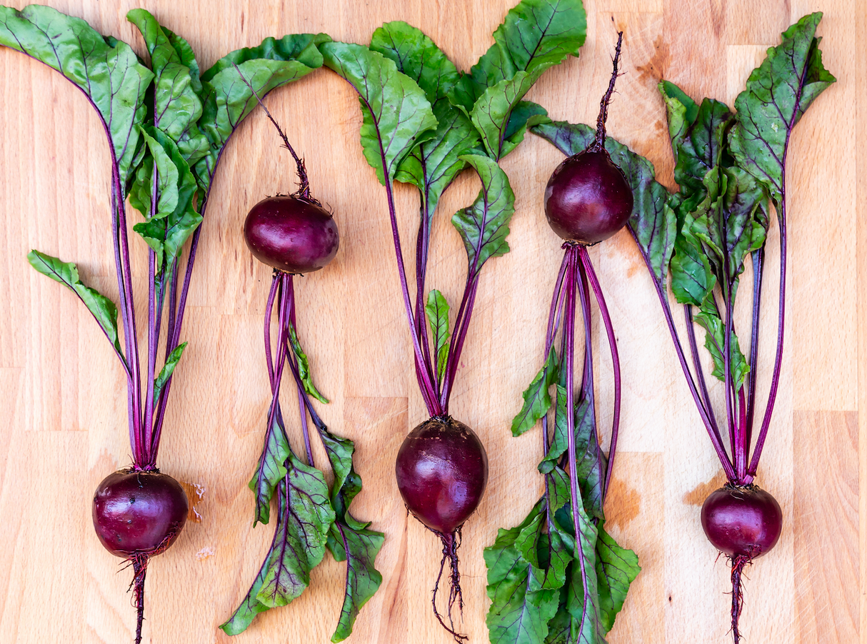 Beet - Crosby's Egyptian seeds