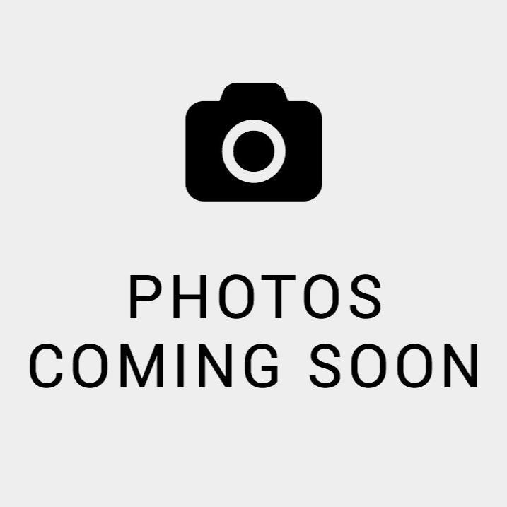 Phacelia, California Bluebell/Desert Bluebell Flowers