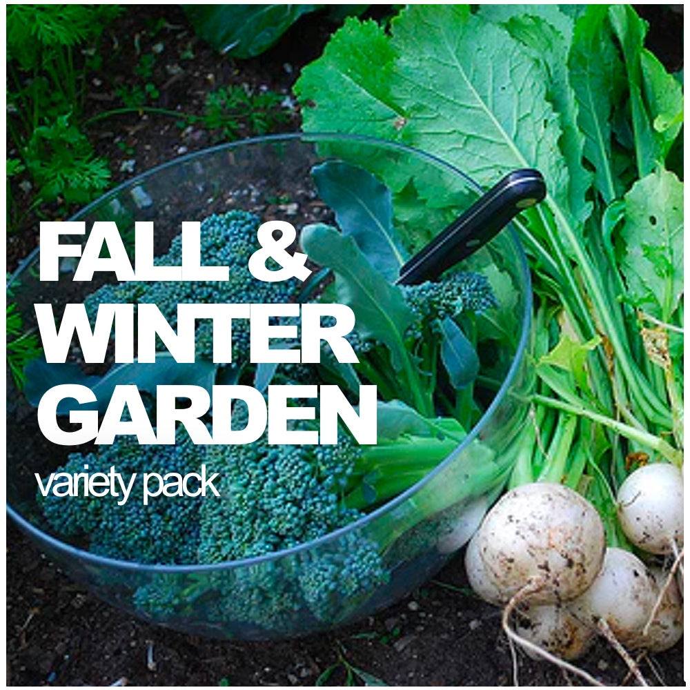 Fall and Winter Variety Pack | A Seed Collection for Cold Season | All-in-One Fall and Winter Seed Variety Pack by SeedsNow-SeedBanks, showcasing a diverse selection of seed packets for seasonal planting.