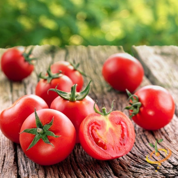 Ace 55 Tomato Seeds | Reliable, Low Acid, Medium-Size Heirloom Tomato