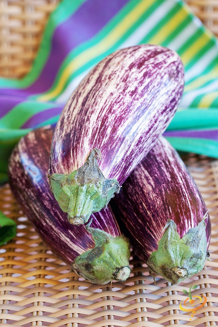 Pandora Striped eggplants with rose and white stripes on a woven basket, showcasing eggplant seeds variety