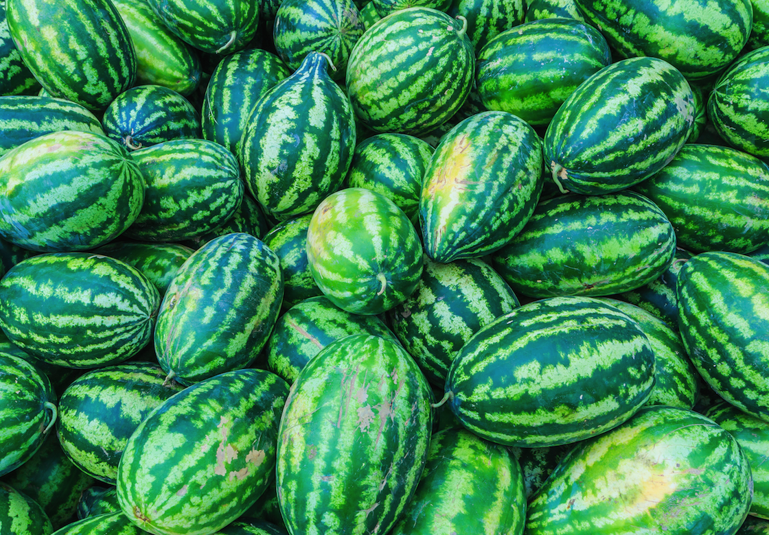 Pile of large, green-striped Congo watermelons ready for harvest or sale