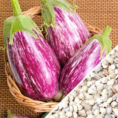 Pandora Striped eggplants with rose colored white stripes and eggplant seeds in a basket