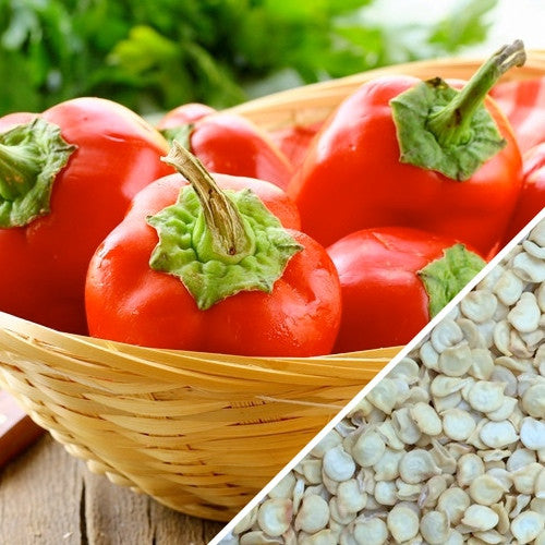 Basket of bright red sweet pimento peppers with close-up of pepper seeds