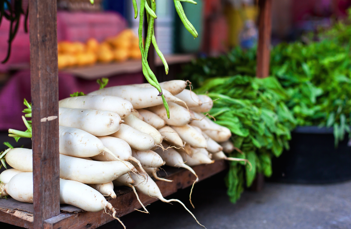 Japanese Minowase Daikon radish seeds from SeedsNow, showing vibrant green tops and large white radish roots on a garden background.