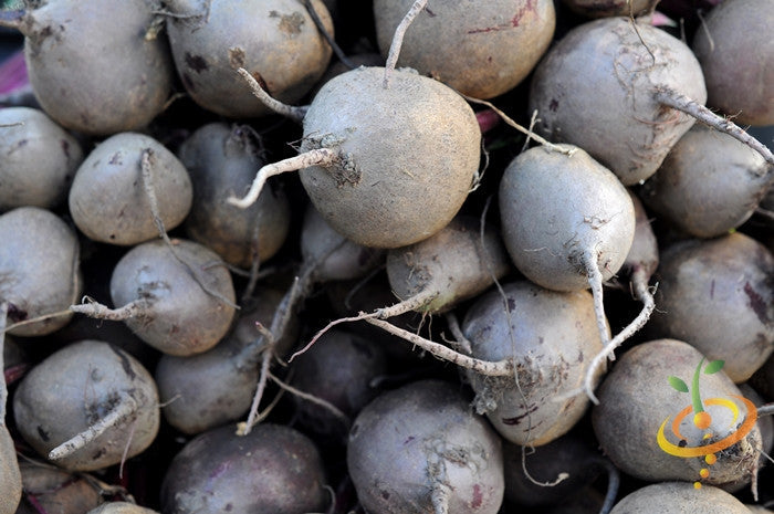 Purple Plum radish seeds from SeedsNow, showing vibrant purple radish bulbs and green leafy tops.