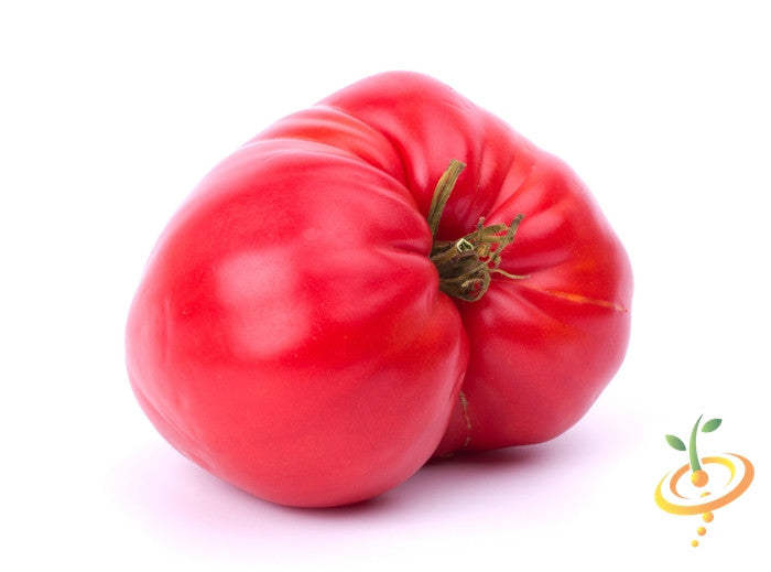Pink Beefsteak Tomato (100% Heirloom/Non-Hybrid/Non-GMO)