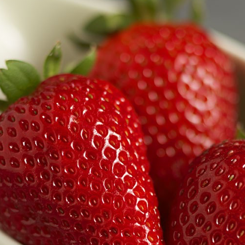 Fresh Strawberry Albion roots and bundles from Strawberry (IE), showcasing vibrant green foliage and healthy strawberry plant bundles.