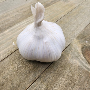 Garlic - (Soft Neck) Silver Rose (Organic)