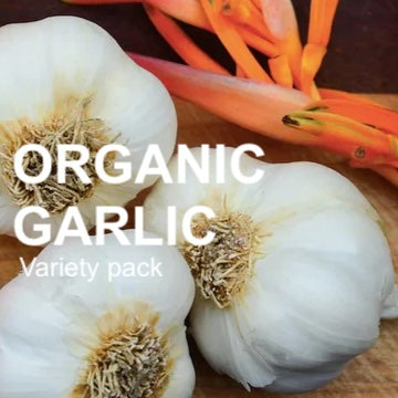 Organic Garlic Garden Variety Pack