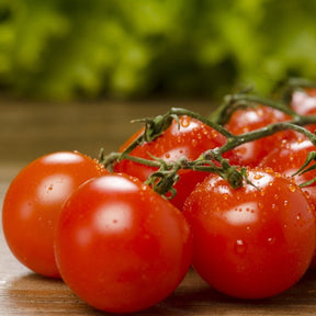 Large Red Cherry Tomato Seeds | Sweet, Prolific Indeterminate Vines