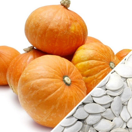 Squash (Winter) - Gold Nugget - SeedsNow.com