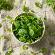 Watercress - SeedsNow.com